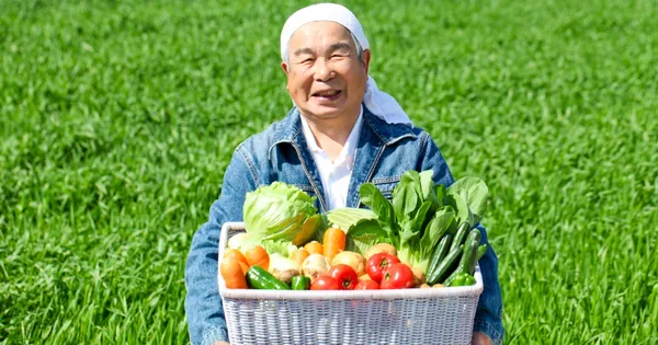 野菜宅配
