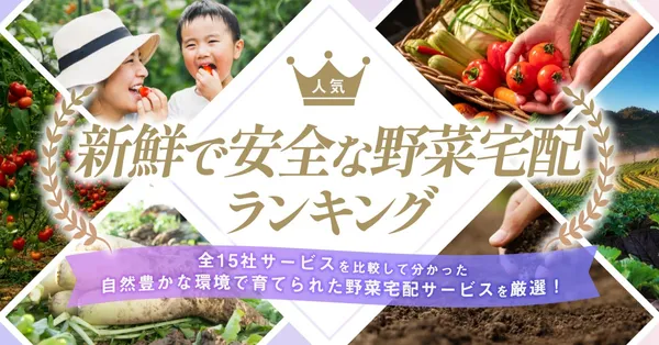 Vegetable delivery2