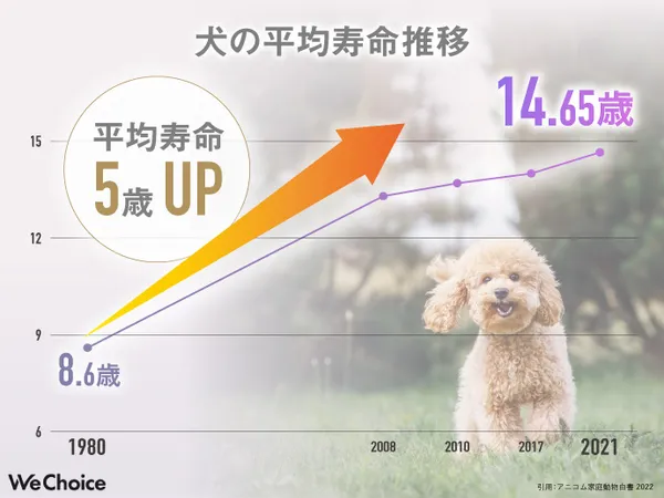 dogfood_ranking4