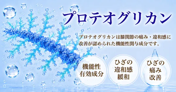 プロテオグリカンとグルコサミンの比較