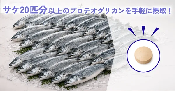 膝関節サプリおすすめBEST5_摂取量の画像