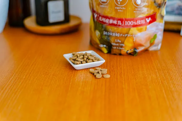 dogfood_ranking4