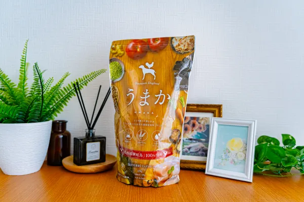 dogfood_ranking4
