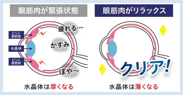 めなり極