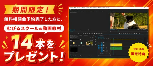 むびるスクール_キャンペーン