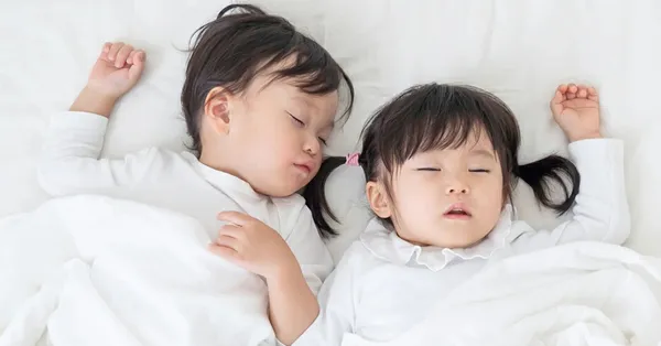 ダニ捕りくん＿安全性