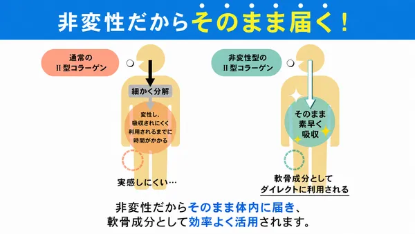 あゆみの宝_画像②