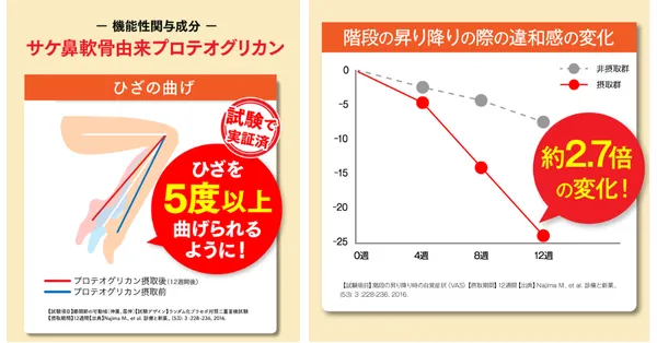 あゆみ_プロテオグリカン