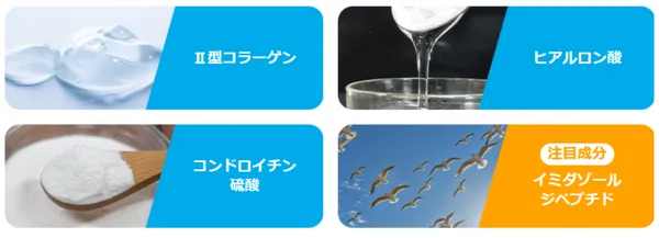 ロコモプロ_その他成分