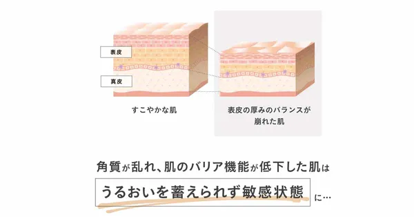ETVOS 記事内画像