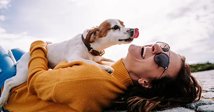 犬の躾と歯磨きの効果