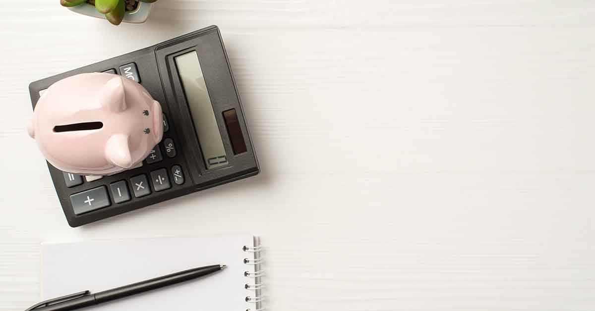 ダニ取りシート③