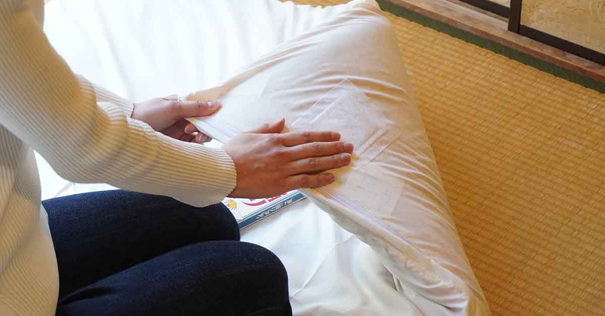 ダニ取りシート_カイロ