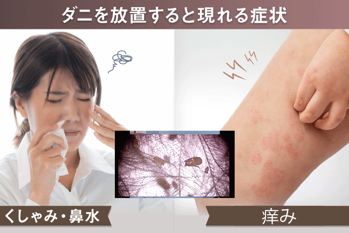 ダニ取りシート_グラフ