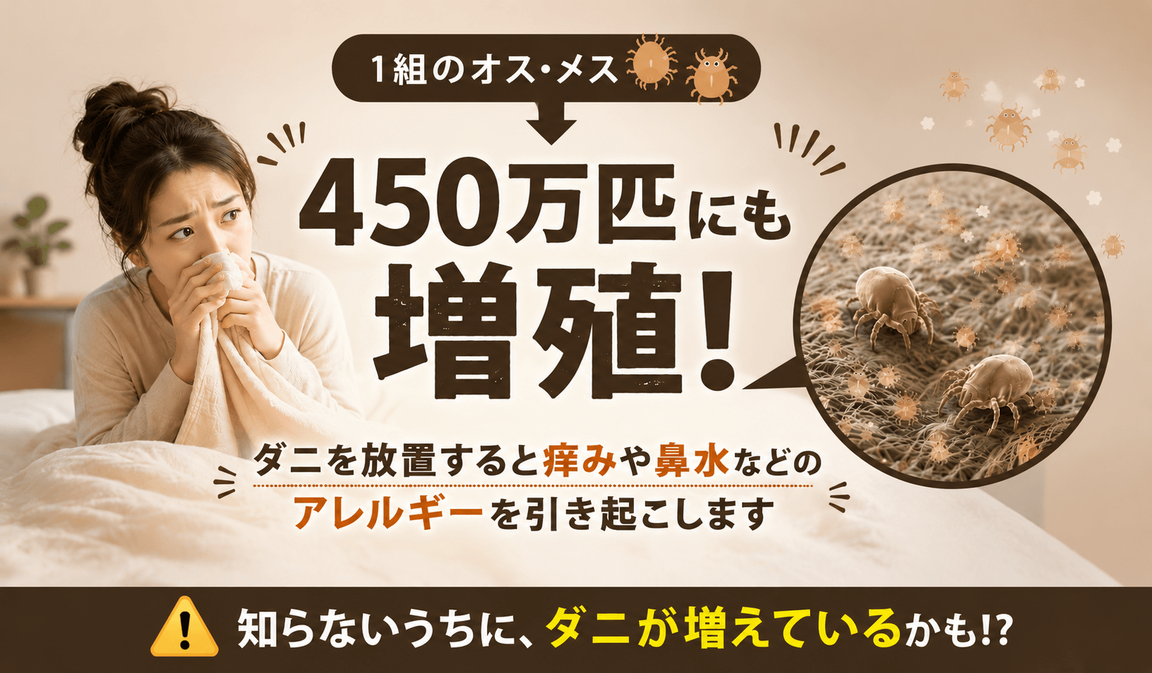 ダニ取りシート_ダニ増殖