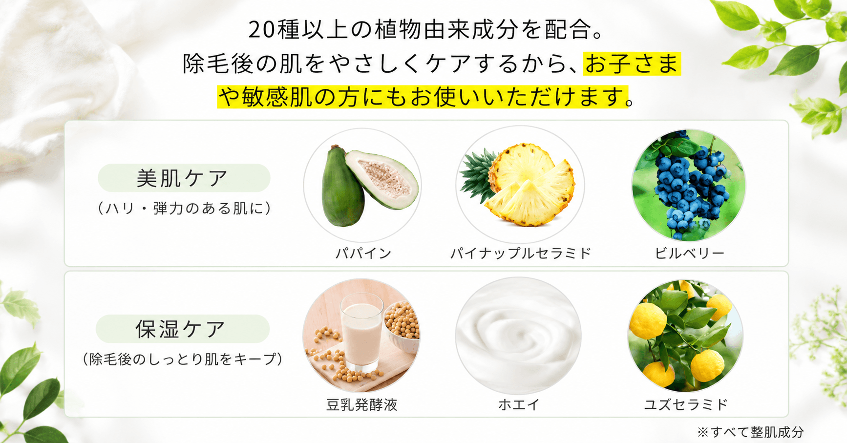 パイナップル豆乳除毛クリームに配合された20種以上の植物由来の整肌成分