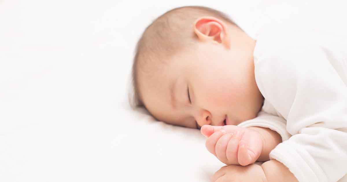 ダニ捕りロボ_赤ちゃん